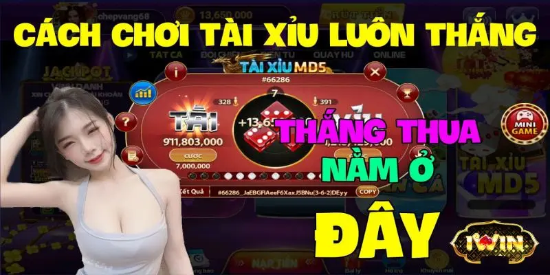 Cách Chơi Tài Xỉu Luôn Thắng – Chiến Thuật Tăng Tỷ Lệ Thắng 80% 5 Cách Chơi Tài Xỉu Luôn Thắng – Chiến Thuật Tăng Tỷ Lệ Thắng 80%